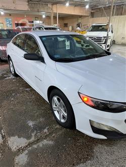 شيفروليه ماليبو